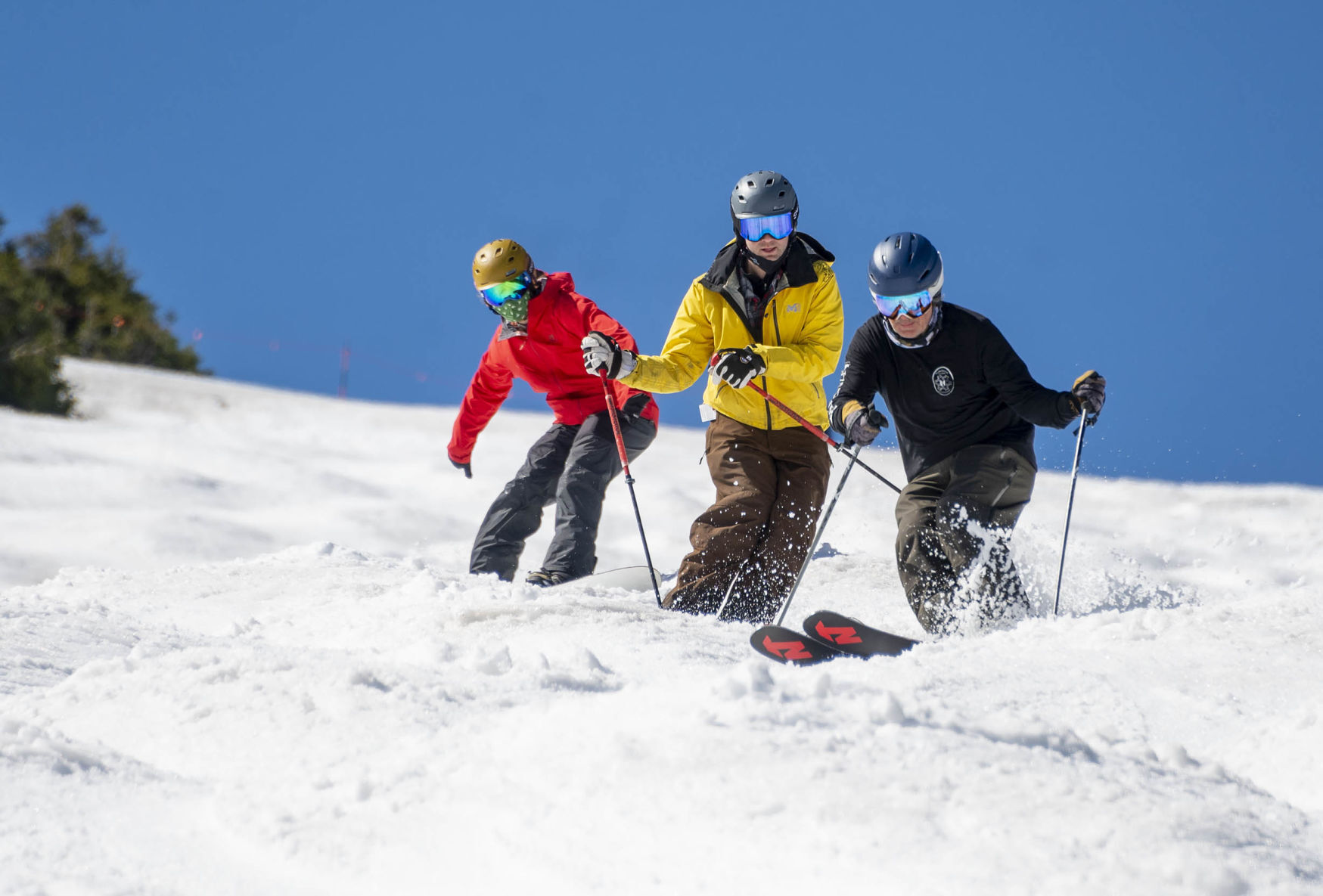 Ski You Next Year